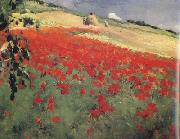 William blair bruce Landscape with Poppies (nn02) Spain oil painting artist